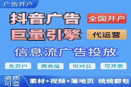 抖音信息流代理在电商行业的应用案例分析